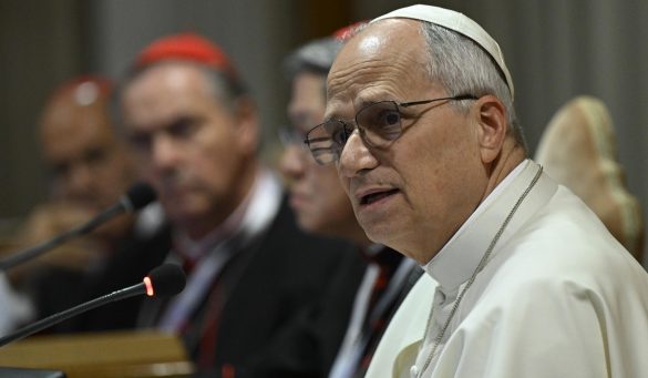 Papa Leone papa guerra