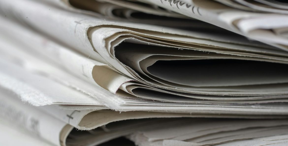 pexels-mike-van-schoonderwalt-1884800-5505718