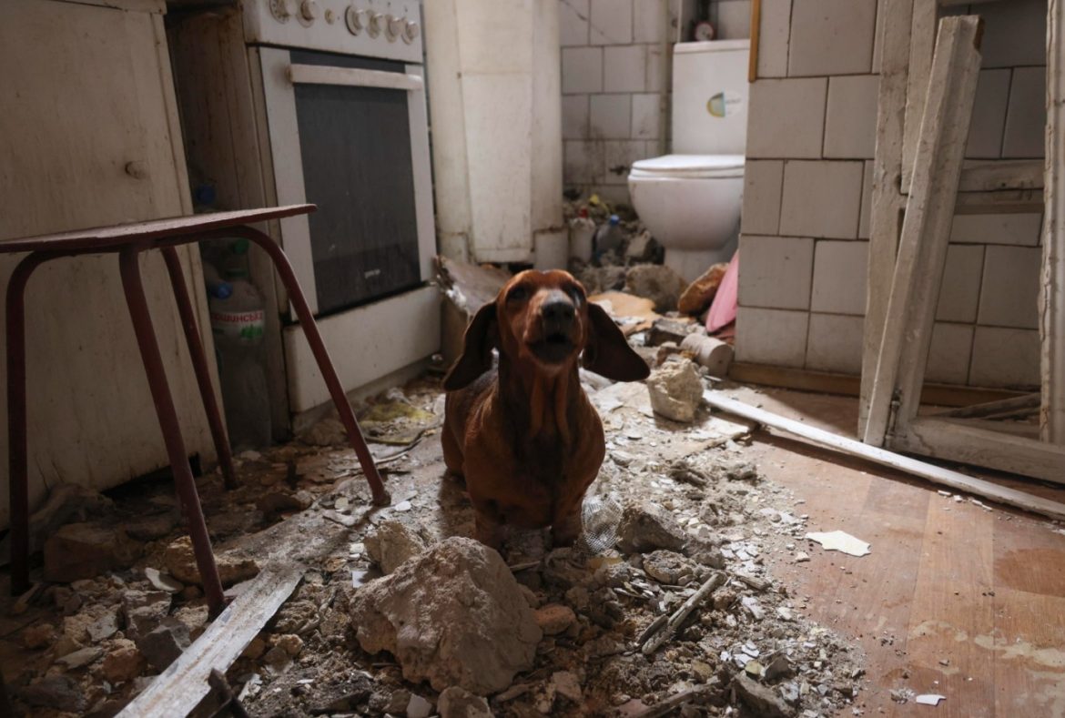 kiev–a-dog-sits-inside-a-damaged-flat-at-the-site-of-a-russian-drone-strike-on-a-private-building-in-odesa-epa
