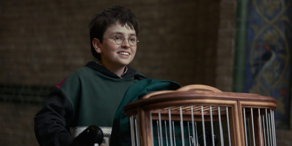 harry potter – dominic mclaughlin harry potter