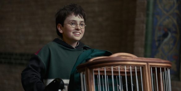 harry potter – dominic mclaughlin harry potter