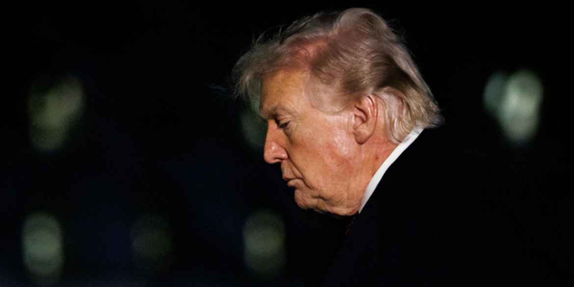 trumpone Donald Trump, presidente Usa