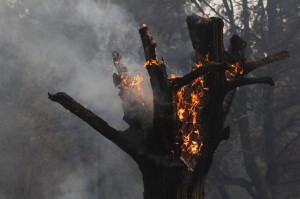 La siccità che ha colpito il Cile centrale sta causando un numero record di incendi boschivi nella zona.