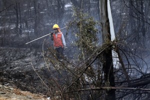 I vigili del fuoco provano ad estinguere le fiamme che divorano la foresta del comune di Empedrado 