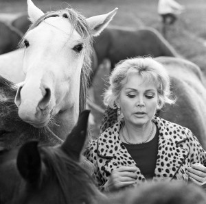 3) L'attrice americana, ma nata in Ungheria, durante la sua visita alla Babolna State Farming Cooperative, nel nordest dell'Ungheria