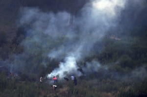 Cittadini provano a spegnere l’incendio nella foresta cilena.