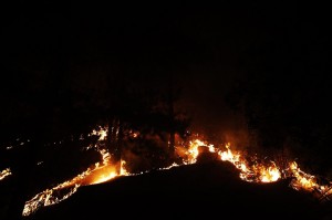 Il Cile brucia, con più di un centinaio di incendi nella sua vallata centrale che fanno alzare colonne nere di fumo e aumentano l'ondata di caldo che ha colpito il paese, con temperature che potrebbero raggiungere livelli senza precedenti.