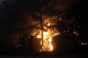 Il governo cileno ha dichiarato lo stato d’emergenza in alcune zone del paese a causa degli incendi che hanno distrutto oltre 35mila ettari di foreste
