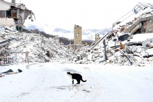 amatrice 2