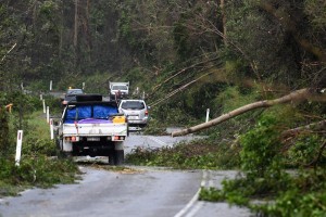 Molti alberi sono stati abbattuti, bloccando le strade